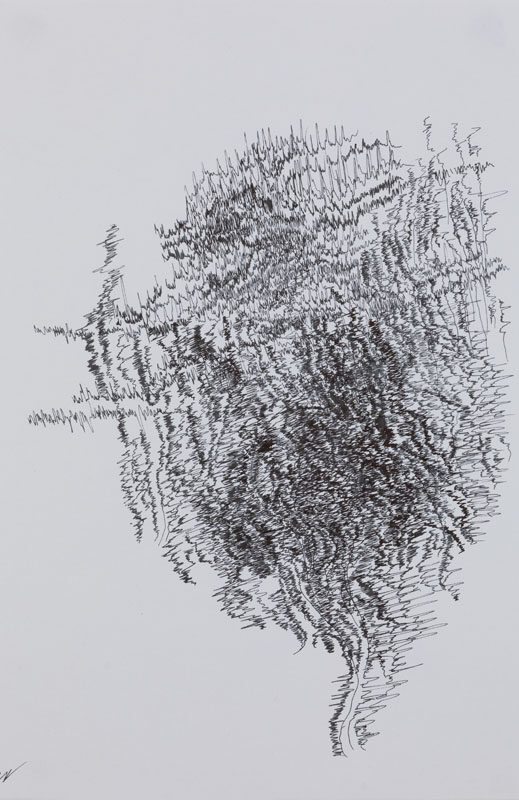 19-07-03_Eric_Galerie_Moineau_Ecarlate_126_BD Cédric Laplace-art brut