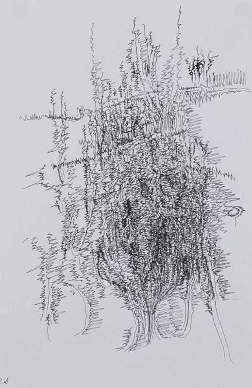 19-07-03_Eric_Galerie_Moineau_Ecarlate_130_BD Cédric Laplace-art brut