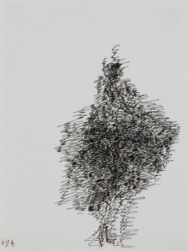 Cédric Laplace