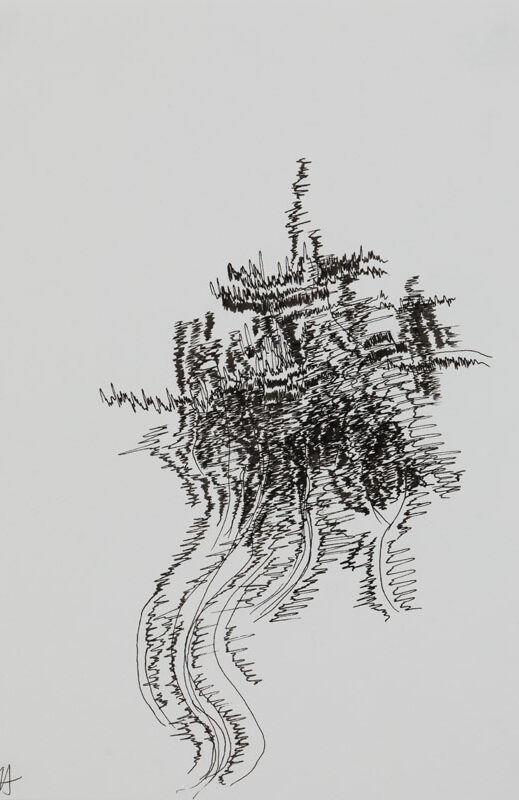 19-07-03_Eric_Galerie_Moineau_Ecarlate_137_BD Cédric Laplace-art brut