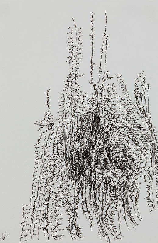 19-07-03_Eric_Galerie_Moineau_Ecarlate_140_BD Cédric Laplace-art brut