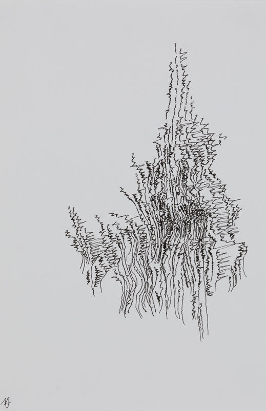 19-07-03_Eric_Galerie_Moineau_Ecarlate_141_BD Cédric Laplace-art brut