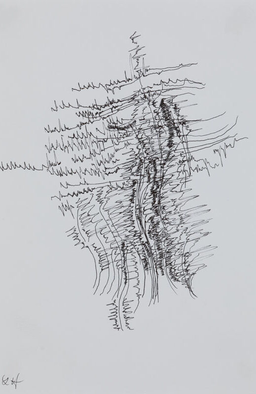 19-07-03_Eric_Galerie_Moineau_Ecarlate_147_BD Cédric Laplace-art brut