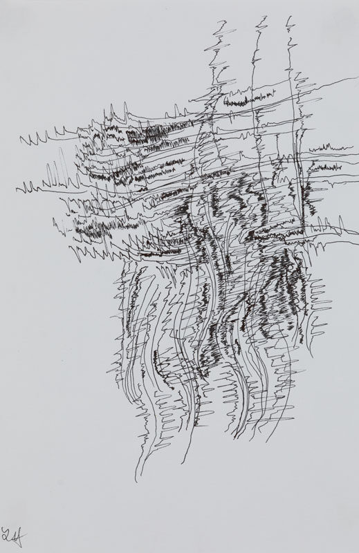 19-07-03_Eric_Galerie_Moineau_Ecarlate_148_BD Cédric Laplace-art brut