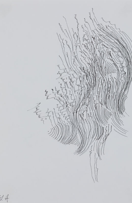 19-07-03_Eric_Galerie_Moineau_Ecarlate_149_BD Cédric Laplace-art brut