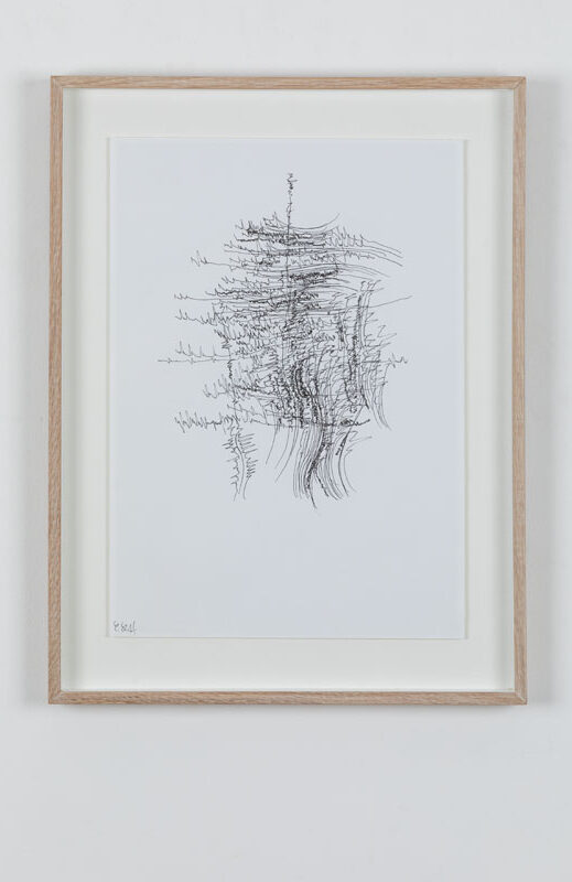 19-07-03_Eric_Galerie_Moineau_Ecarlate_161_BD Cédric Laplace-art brut