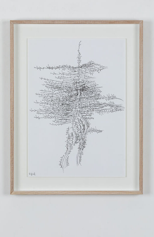 19-07-03_Eric_Galerie_Moineau_Ecarlate_162_BD Cédric Laplace-art brut