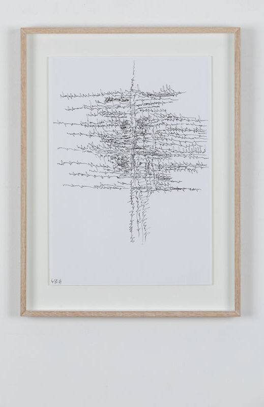 19-07-03_Eric_Galerie_Moineau_Ecarlate_163_BD Cédric Laplace-art brut