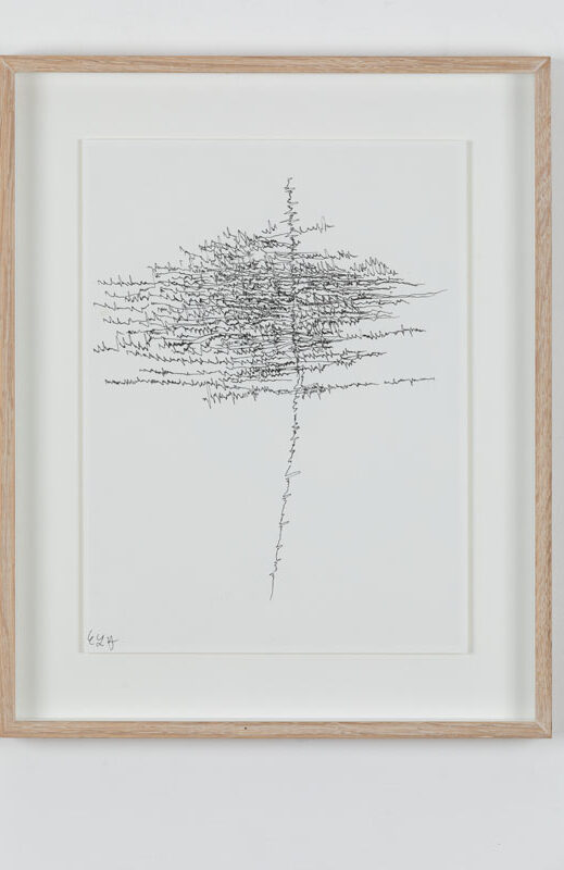 19-07-03_Eric_Galerie_Moineau_Ecarlate_167_BD Cédric Laplace-art brut