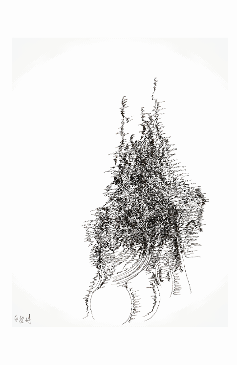 Sans titre-11 Cédric Laplace-art brut