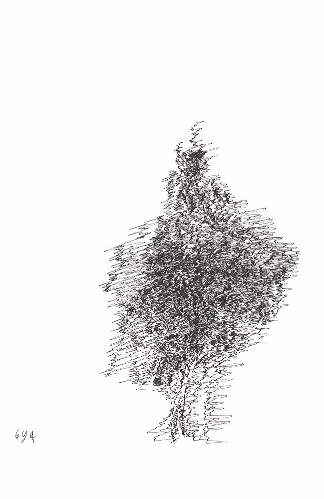 Cédric laplace-4(c) Galerie du moineau écarlate Cédric Laplace-art brut