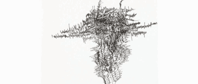 Cédric Laplace-art brut