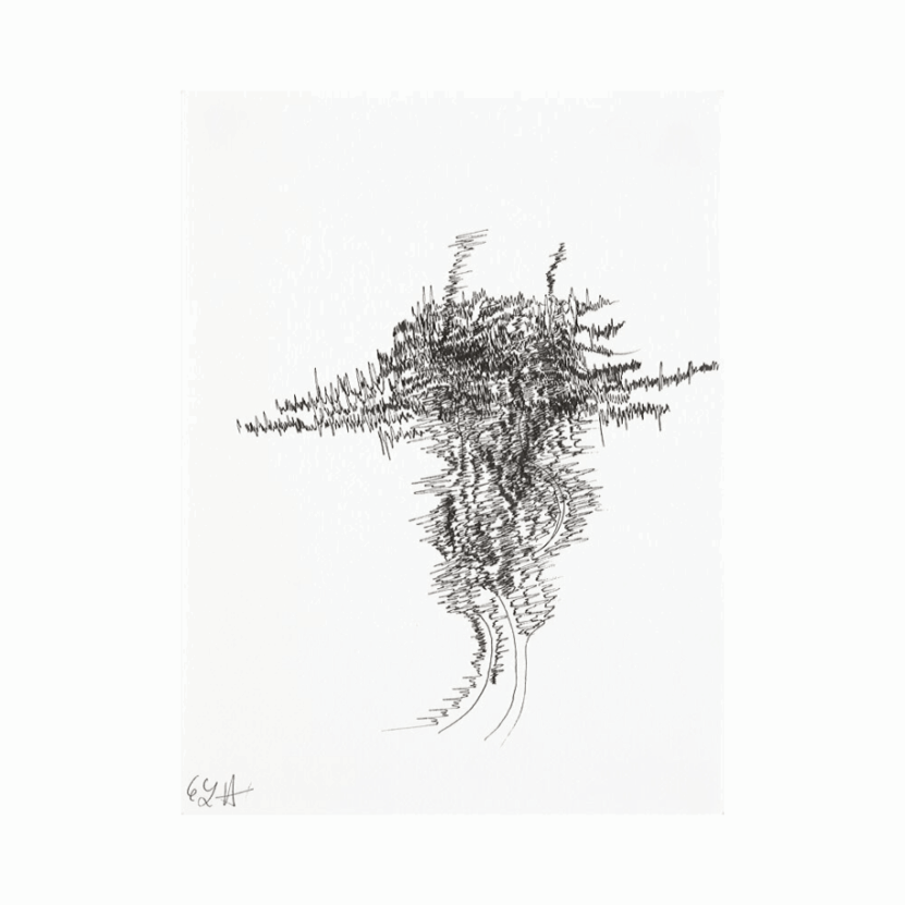 Cédric Laplace-art brut