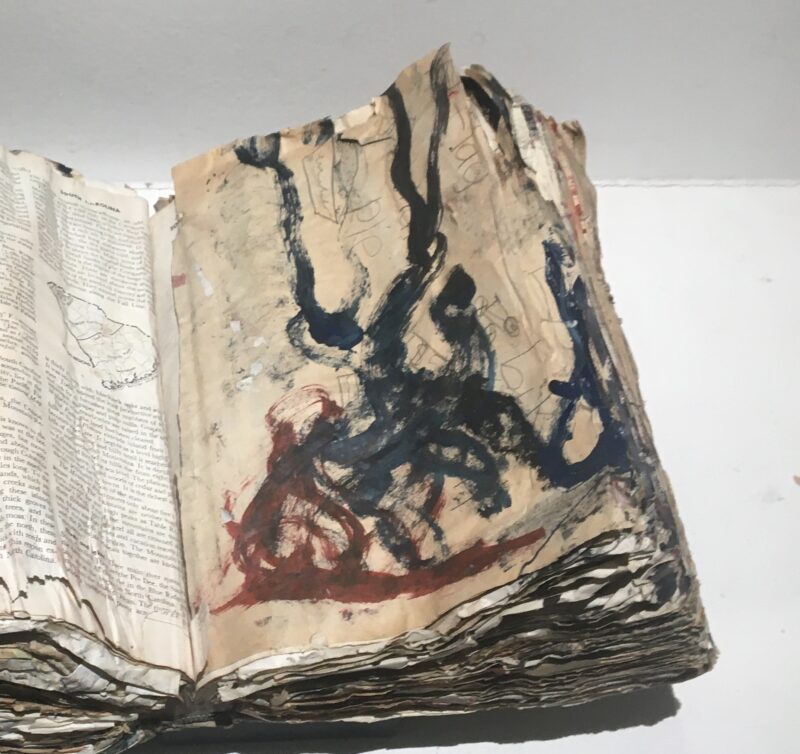 Purvis Young Book 006 Galerie du moineau écarlate art brut Purvis Young-outsider art