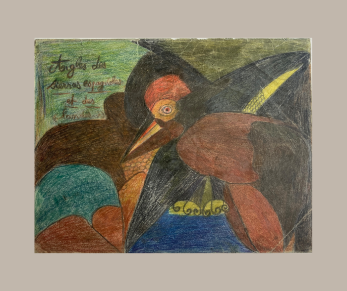charles-schley-oiseaux-recto-taupe Recto d’un dessin d'art brut de Charles Schley représentant des oiseaux aux longs becs et aux plumages noirs, bruns, rouges et jaunes, avec une inscription manuscrite.
